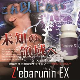 【訳あり特価1個1000円】Z'ebarunin EX（ゼバルニンEX）【賞味期限2015/11/末】