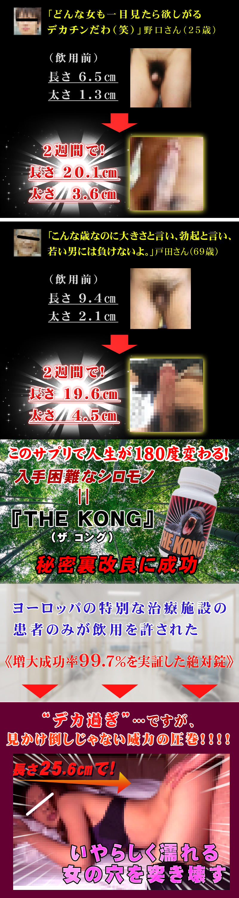 THE KONG(コング)