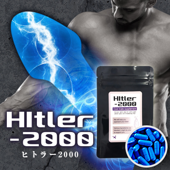 【まとめて3個】ヒトラー2000
