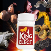 King Of Erect（キングオブエレクト）