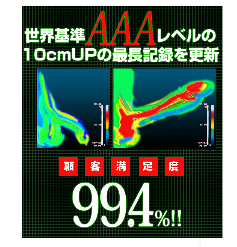 ビッグジャパン