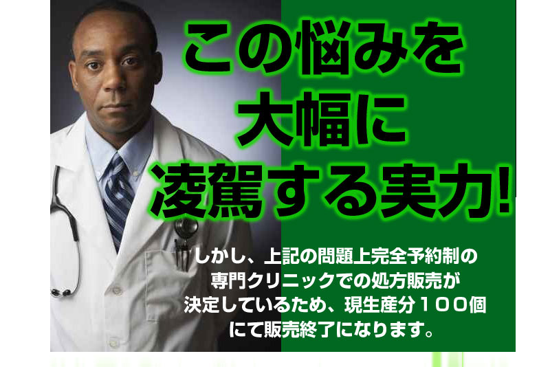 ビッグジャパン
