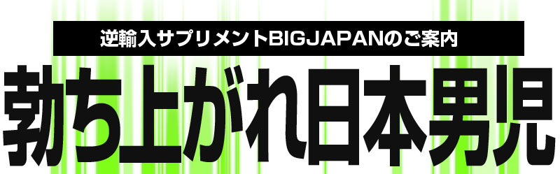 ビッグジャパン