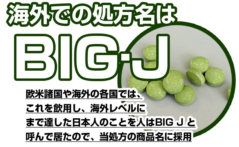 ビッグジャパン