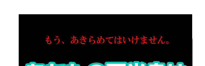 ビッグジャパン