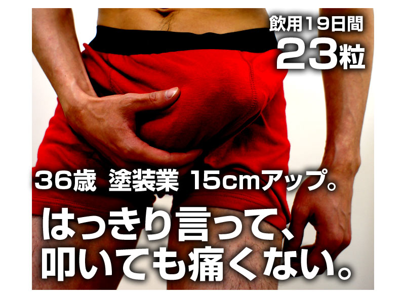ビッグジャパン