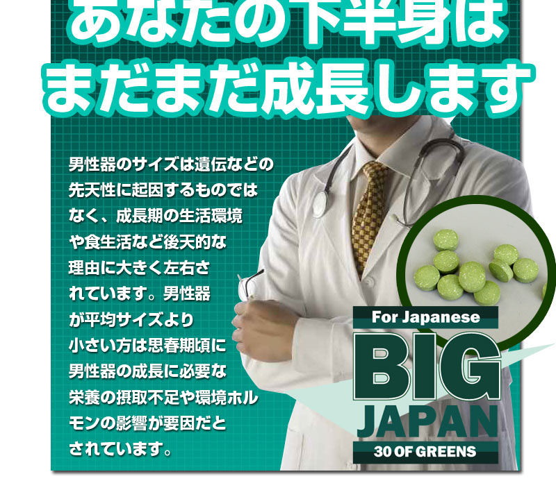 ビッグジャパン