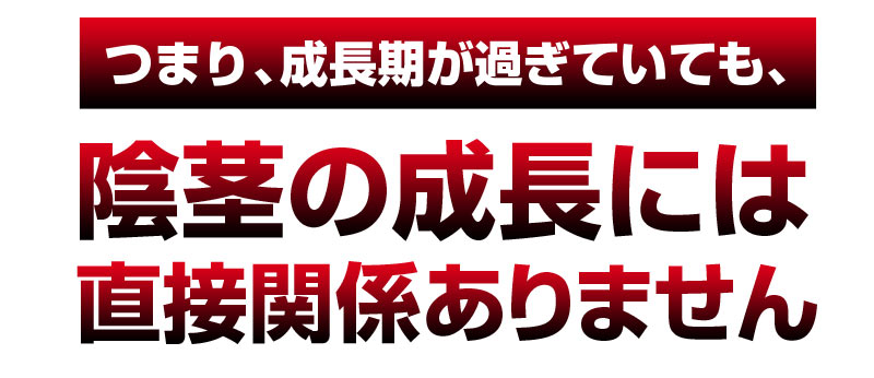 ビッグジャパン