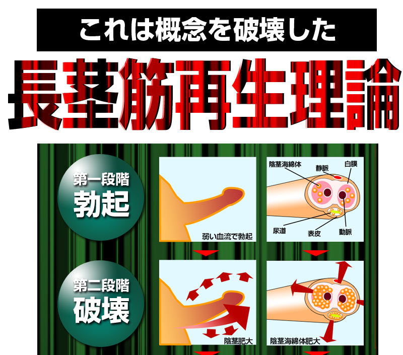 ビッグジャパン