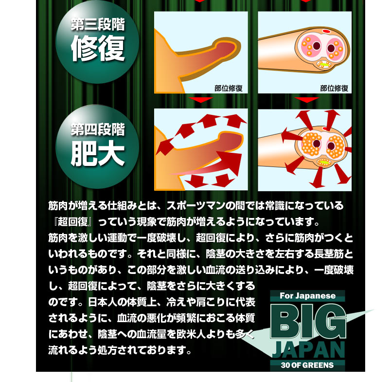 ビッグジャパン
