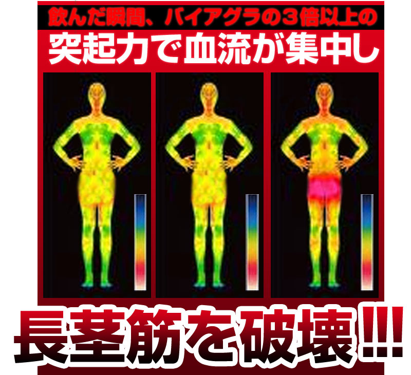 ビッグジャパン