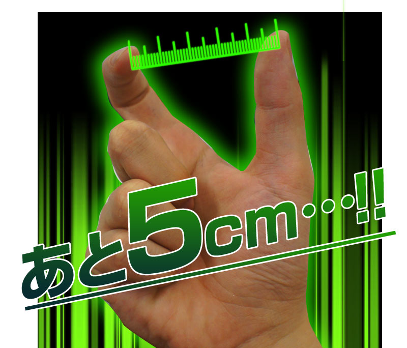 ビッグジャパン