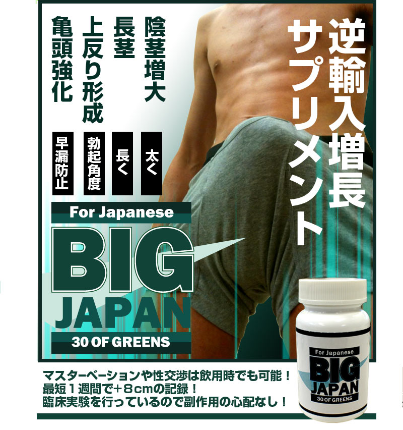 ビッグジャパン