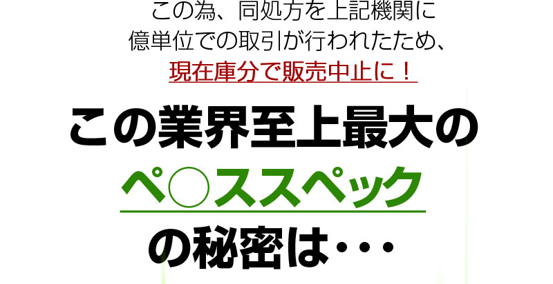ビッグジャパン