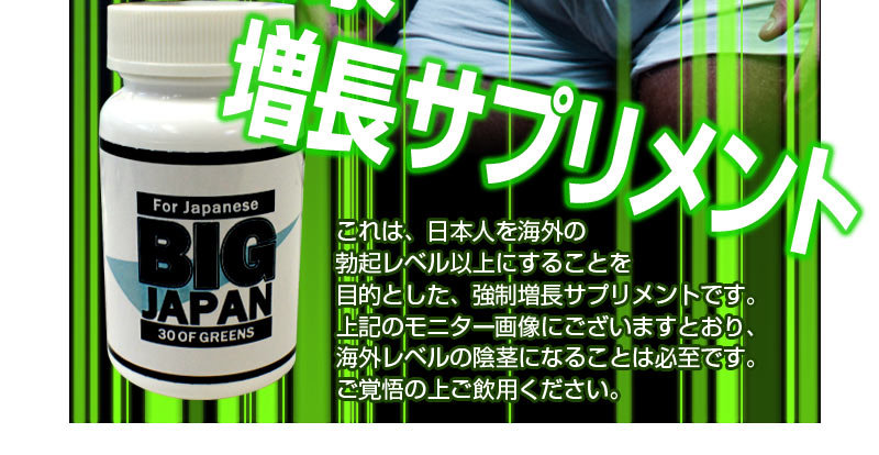 ビッグジャパン